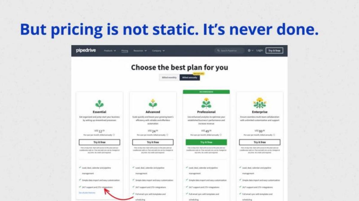 Wingback pitch deck slide 4 of 13