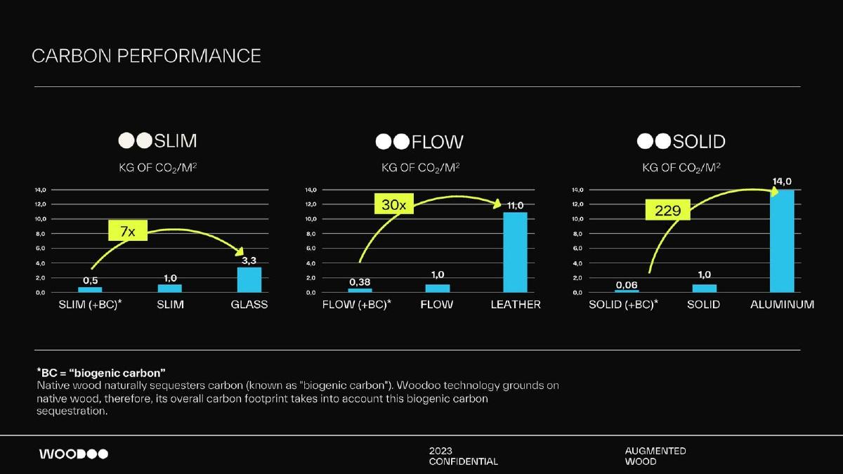 Woodoo pitch deck slide 6 of 8