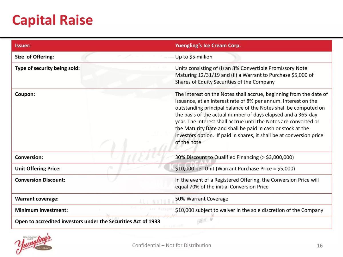 Yuengling's Ice Cream Corp pitch deck slide 16 of 21