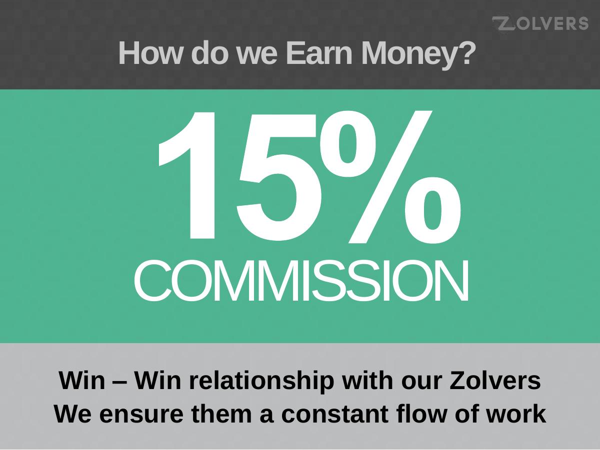 Zolvers pitch deck slide 5 of 11