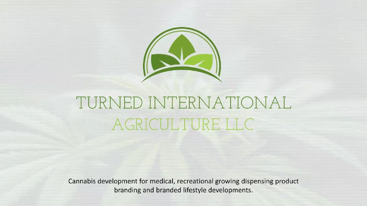 Cover slide of the Turned International Agriculture Pitch Deck Teardown pitch deck