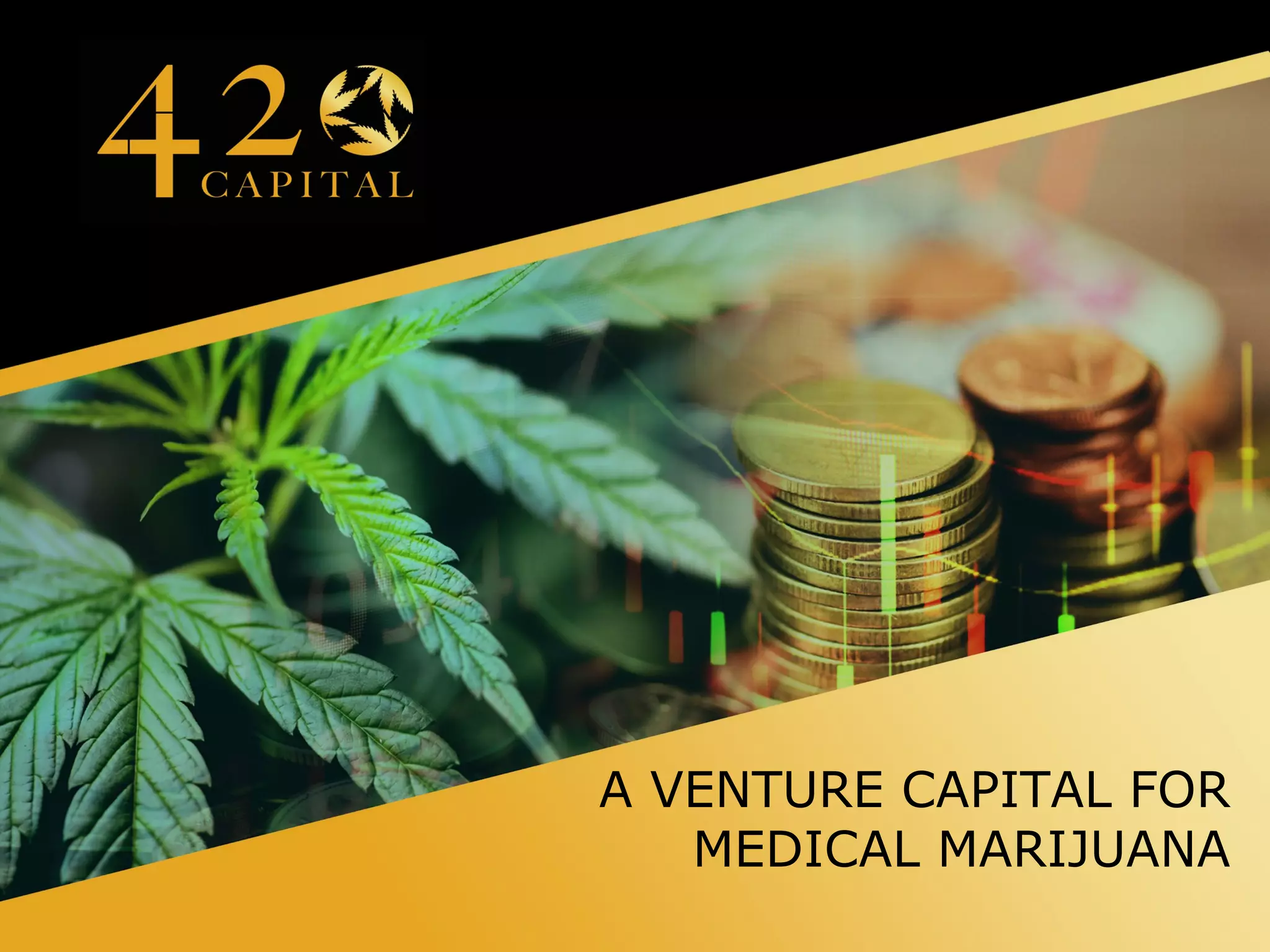 Cover slide of the 420 Capital pitch deck — 2018