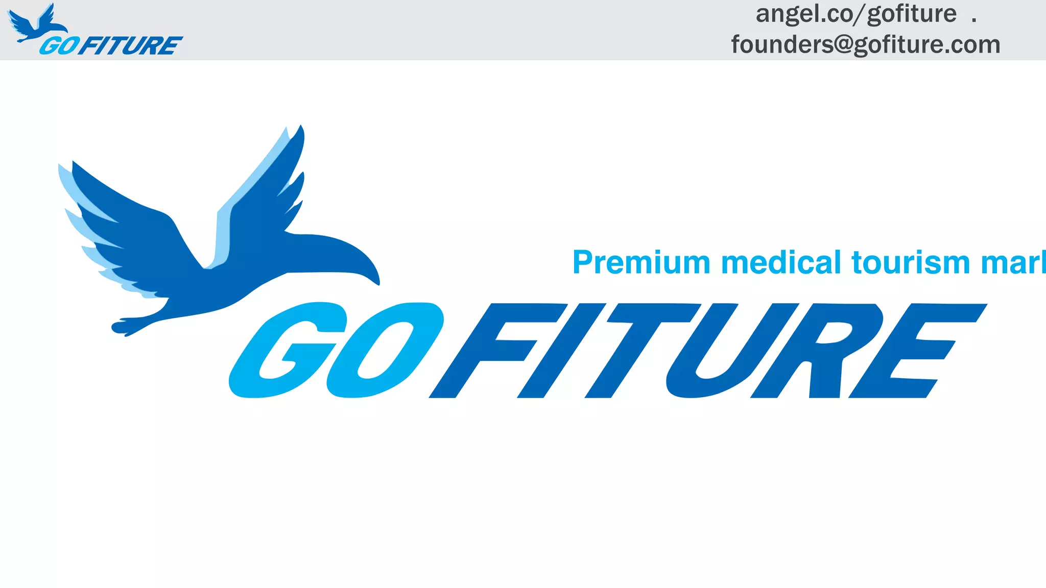 Cover slide of the GOFITURE pitch deck — Pre-Accelerator