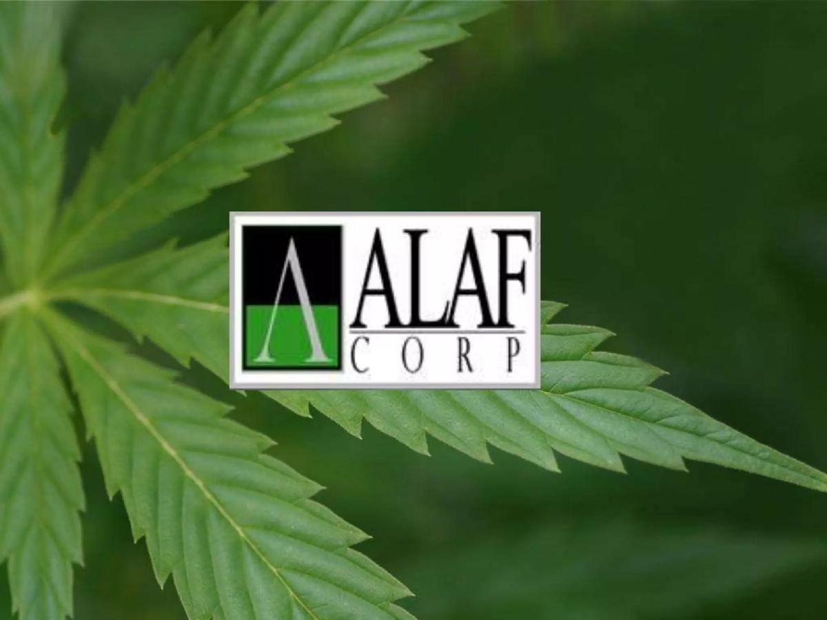 Cover slide of the ALAF Corp pitch deck — 2016