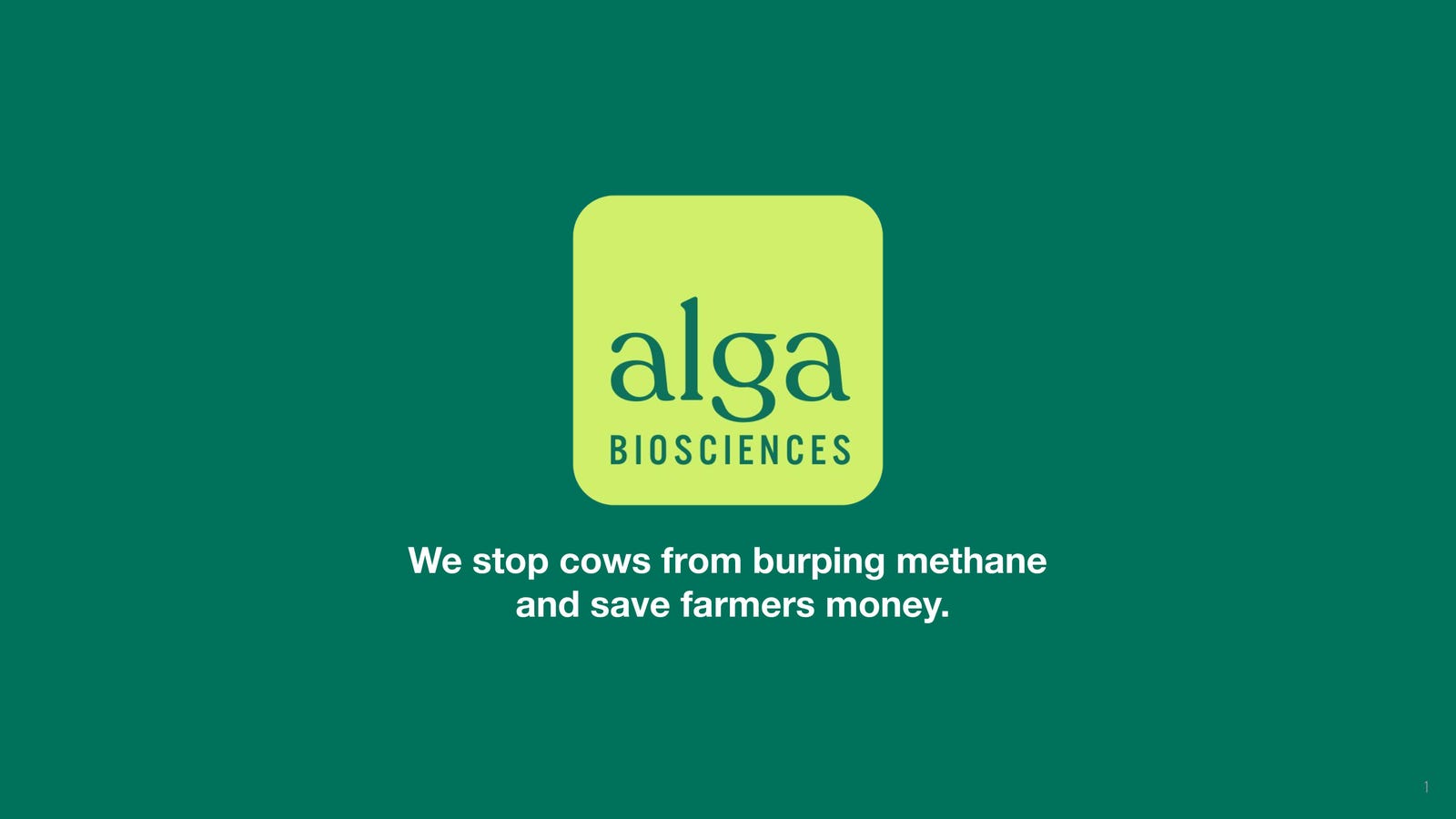 Cover slide of the Alga Biosciences pitch deck — Seed 2024