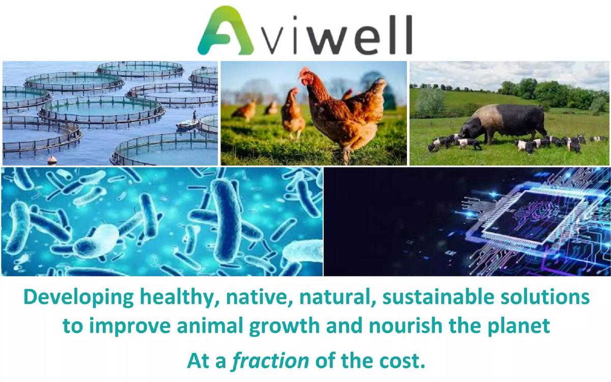 Cover slide of the Aviwell Pitch Deck Teardown pitch deck