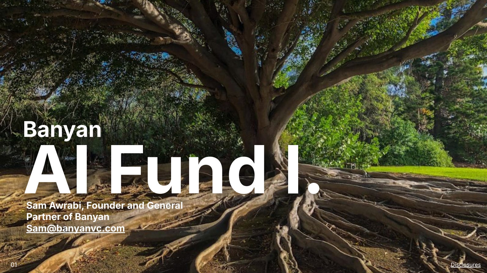 Cover slide of the Banyan Ventures pitch deck — Seed (Fund I) 2024
