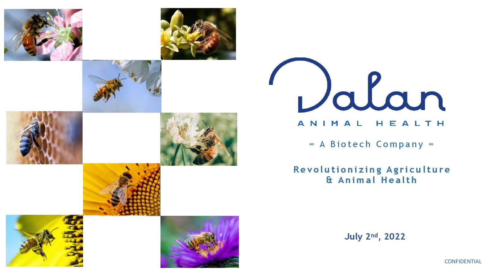 Cover slide of the Dalan Animal Health pitch deck — Seed 2024