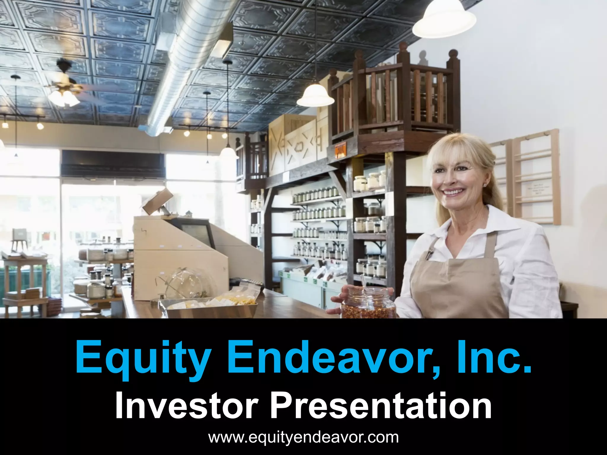 Cover slide of the Equity Endeavor, Inc. pitch deck — Seed / Pilot 2013