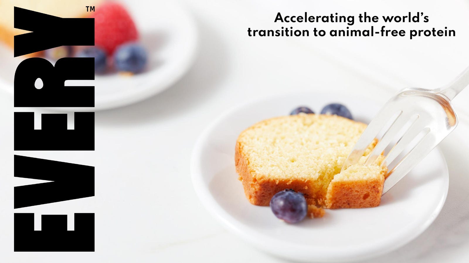 Cover slide of the EVERY (formerly Clara Foods) pitch deck — Series C 2024