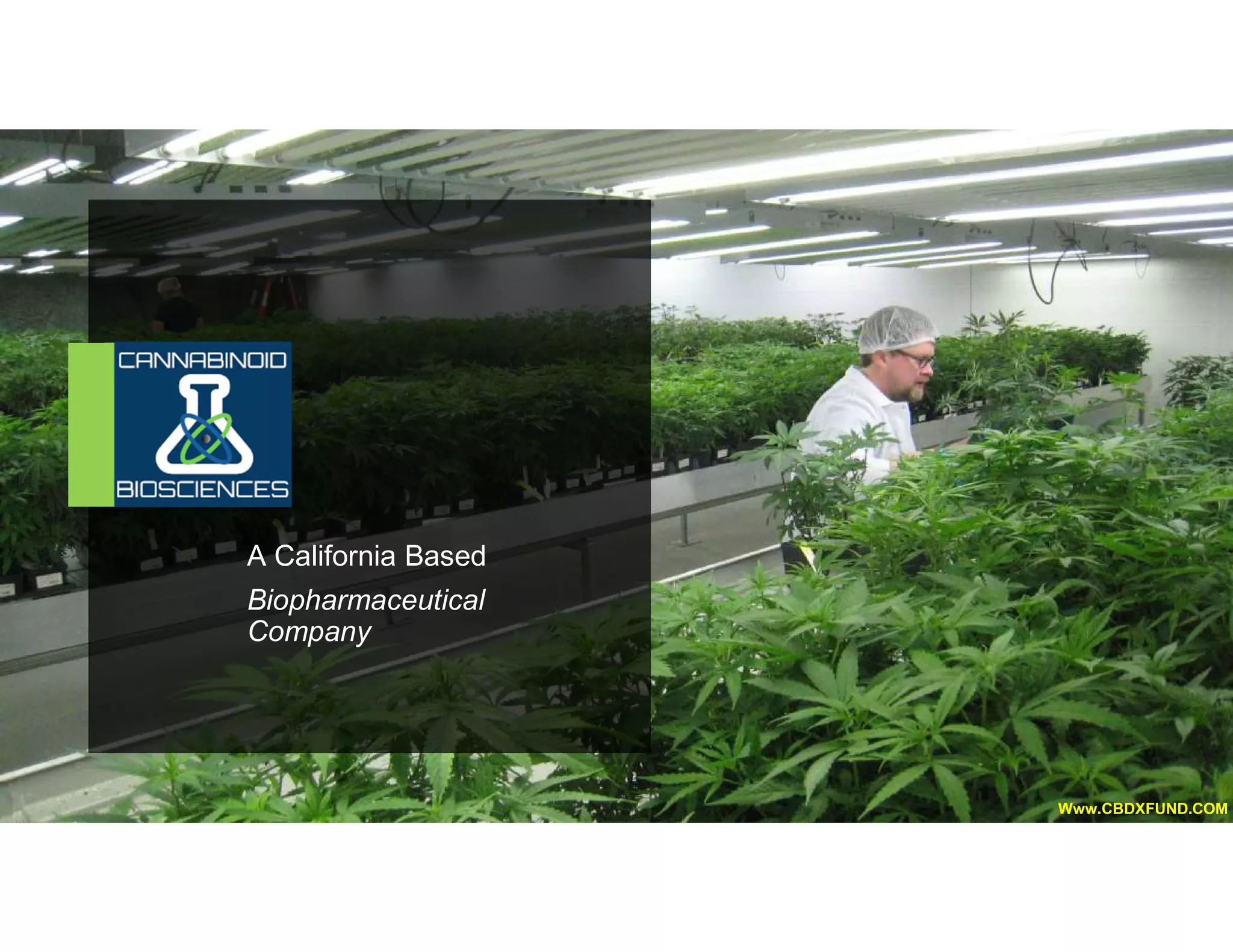 Cover slide of the Cannabinoid Biosciences Pitch Deck Teardown pitch deck