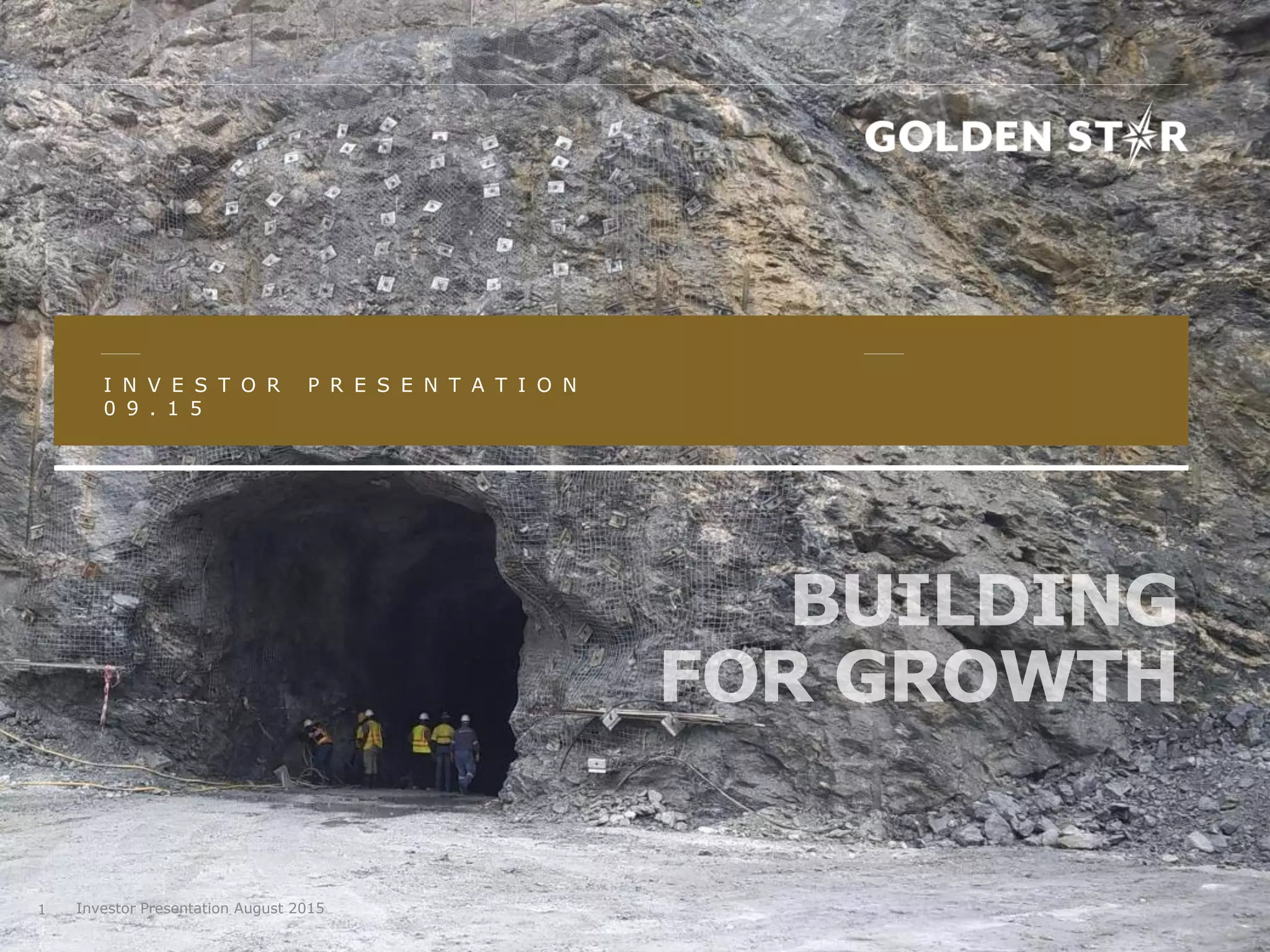 Cover slide of the Golden Star pitch deck — Public / Growth 2015