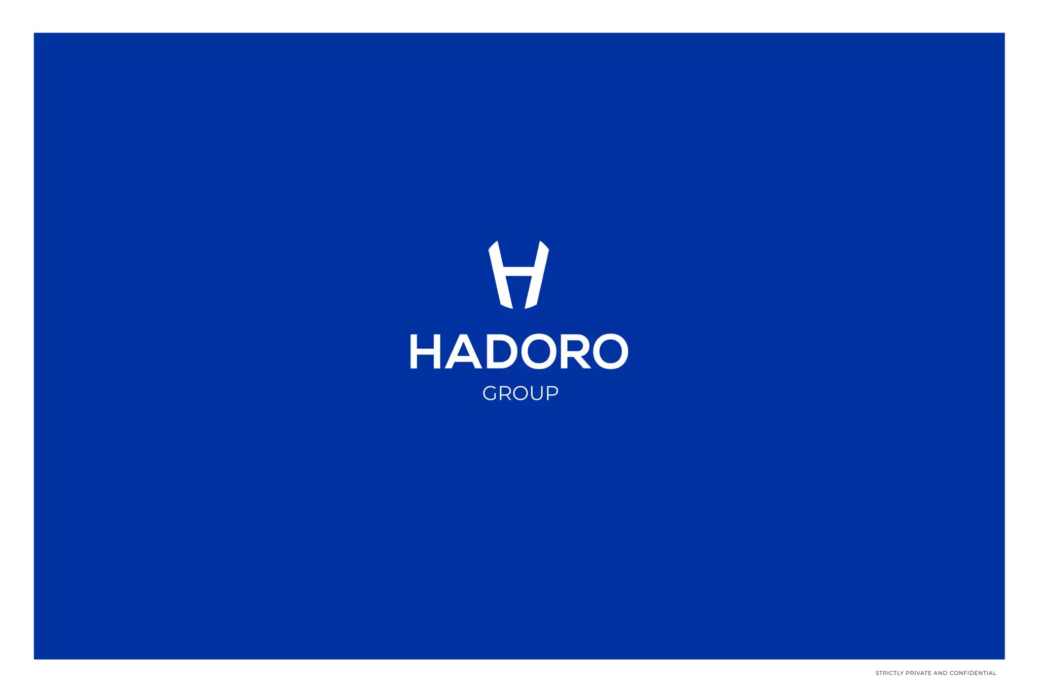 Cover slide of the Hadoro Group pitch deck — 2020