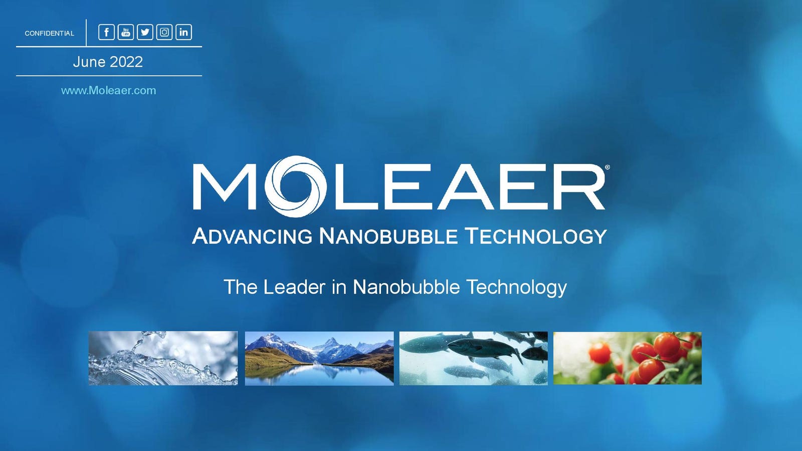 Cover slide of the Moleaer pitch deck — Series C 2024