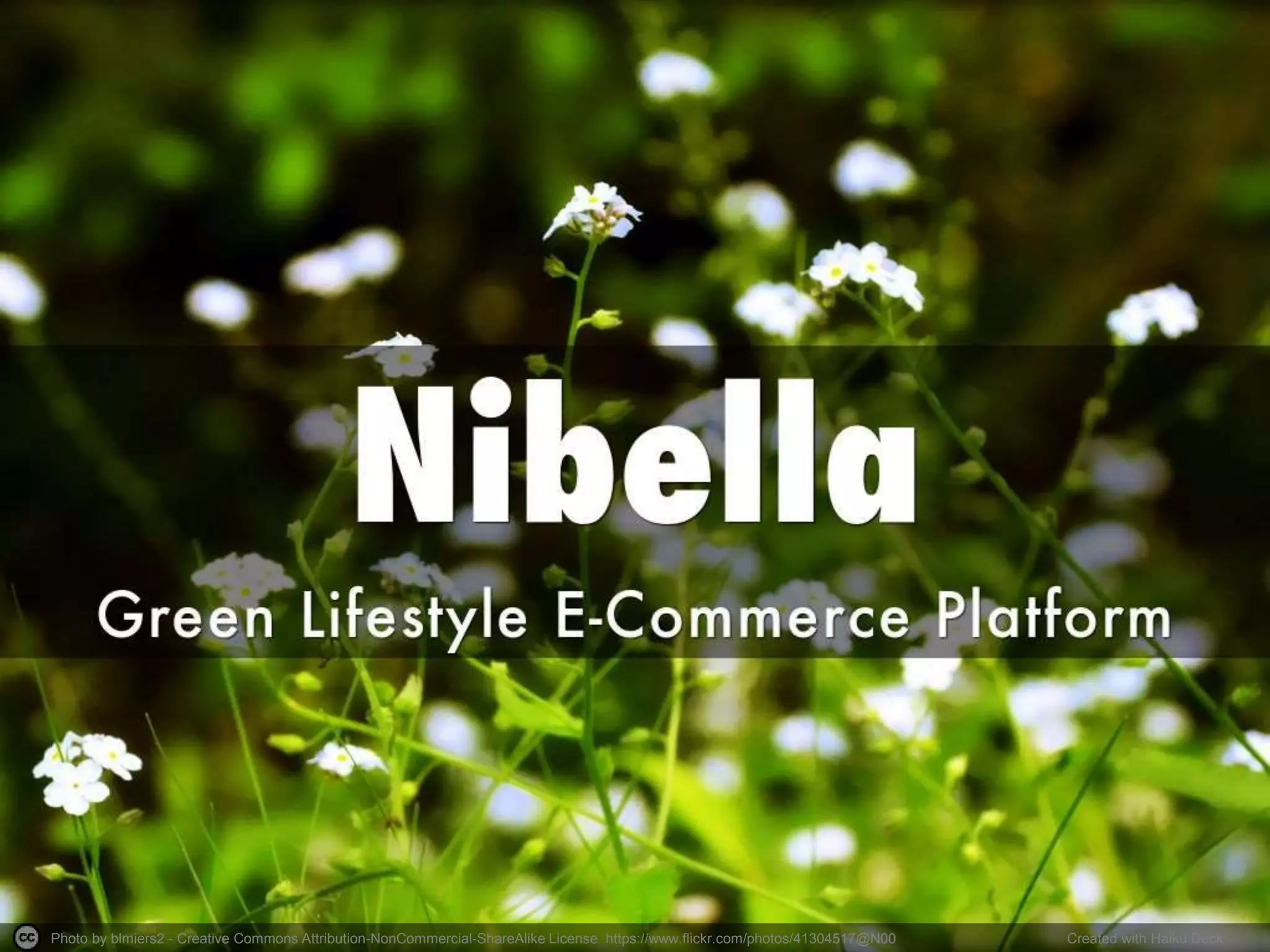 Cover slide of the Nibella pitch deck — Pre-Seed / Seed 2013