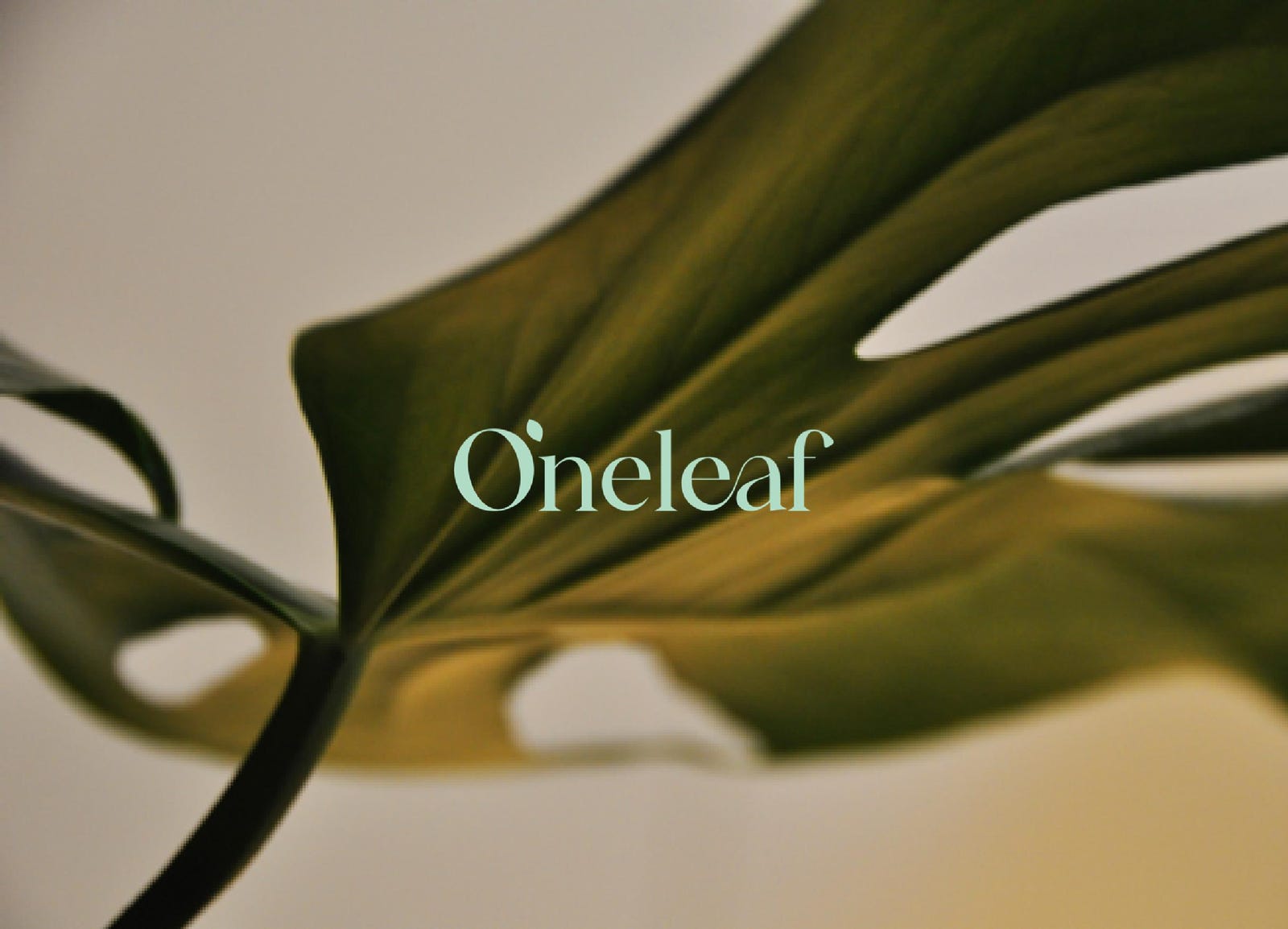 Cover slide of the OneLeaf pitch deck — Seed 2024