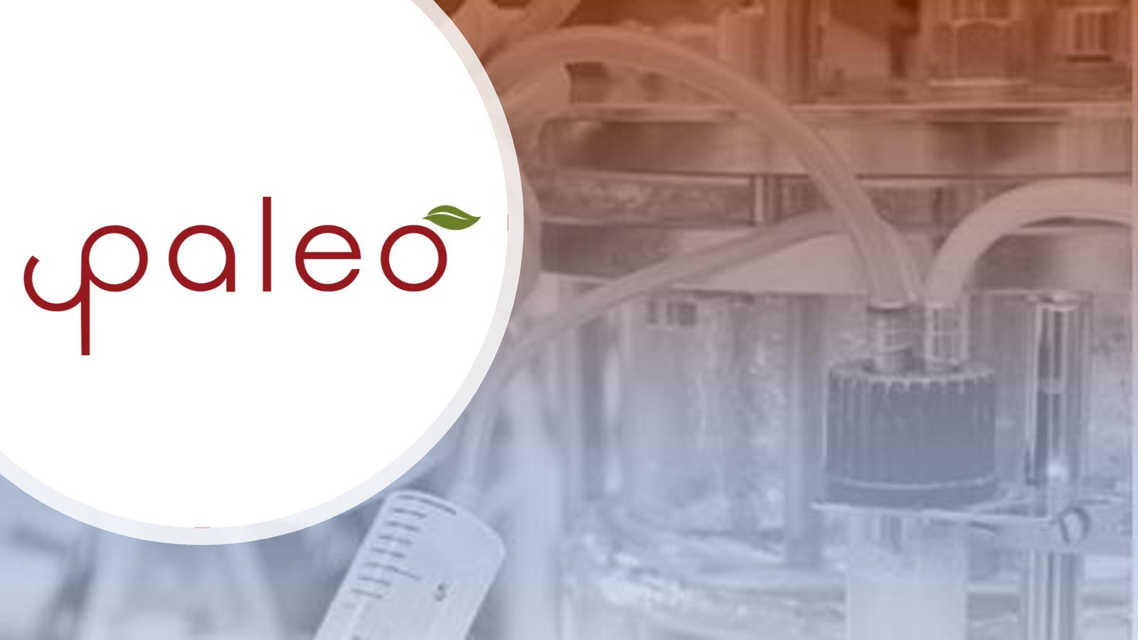 Cover slide of the Paleo pitch deck — Series A 2024