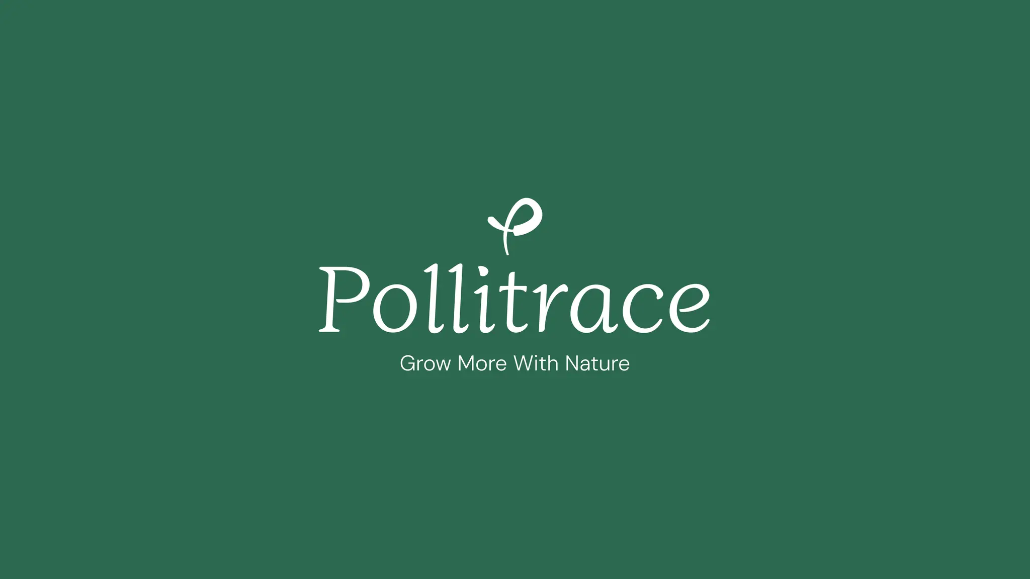 Cover slide of the Pollitrace Pitch Deck Teardown pitch deck