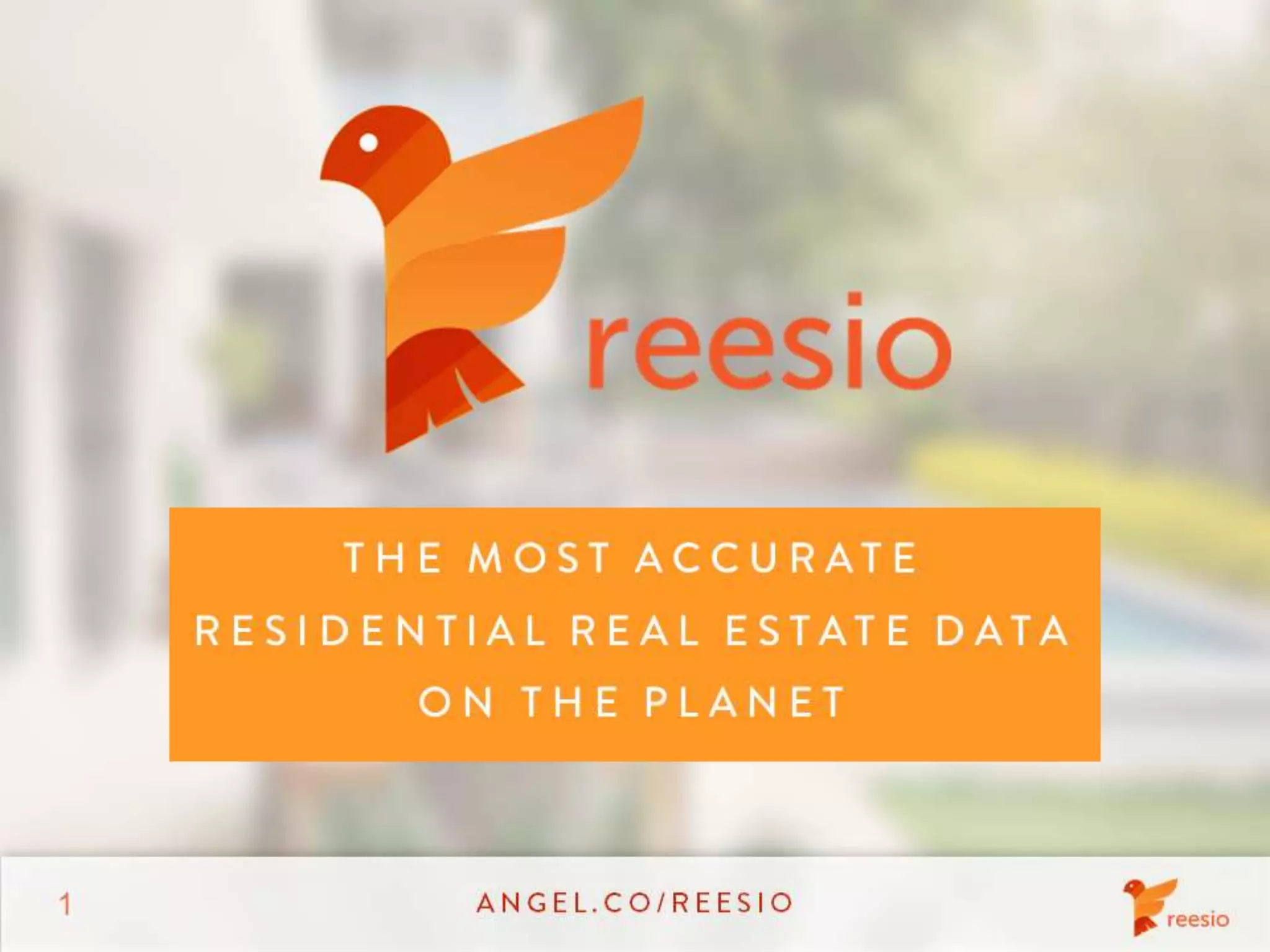 Cover slide of the Reesio pitch deck — Seed 2013