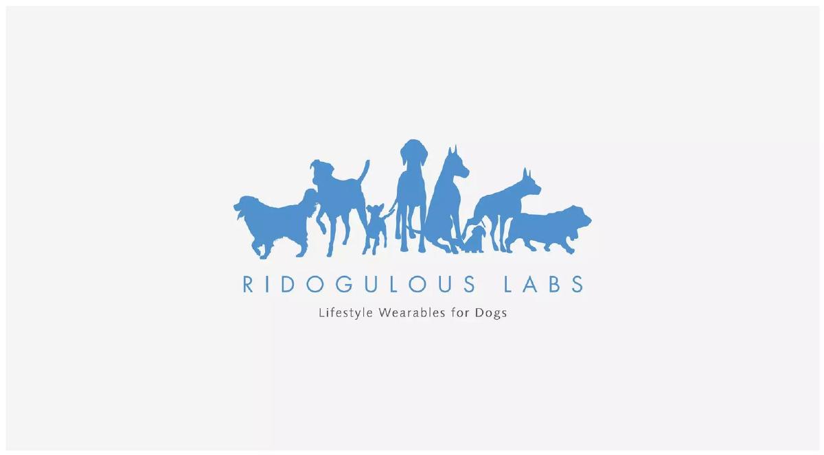 Cover slide of the Ridogulous Labs pitch deck — Unknown (likely Seed) 2014