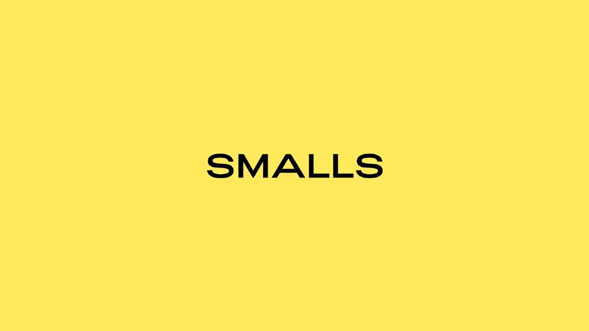 Cover slide of the Smalls pitch deck — Series B 2022