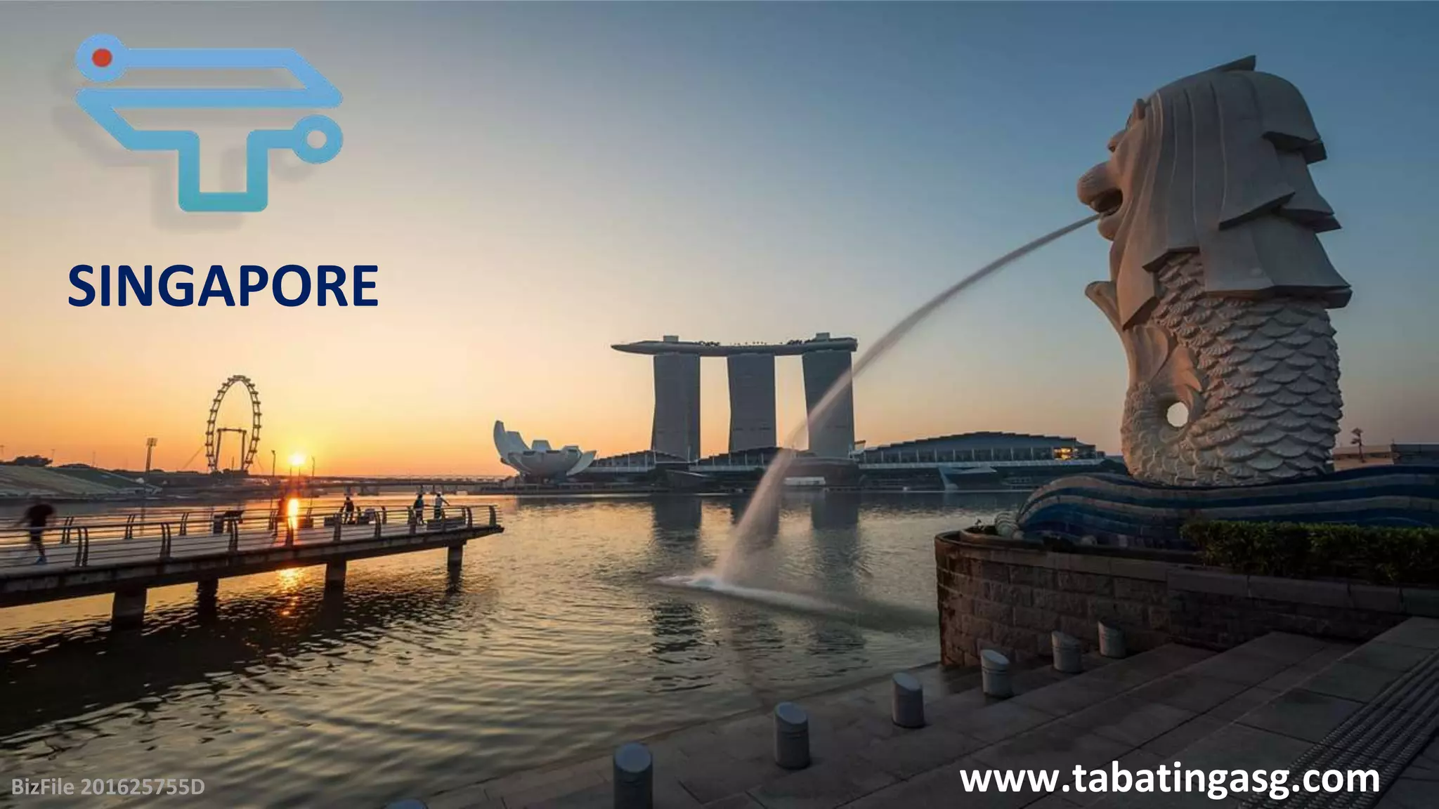 Cover slide of the TABATINGA PTE LTD pitch deck — Not stated