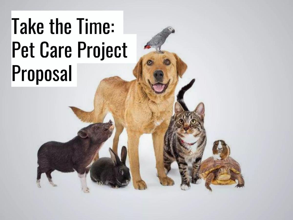 Cover slide of the Take the Time pitch deck