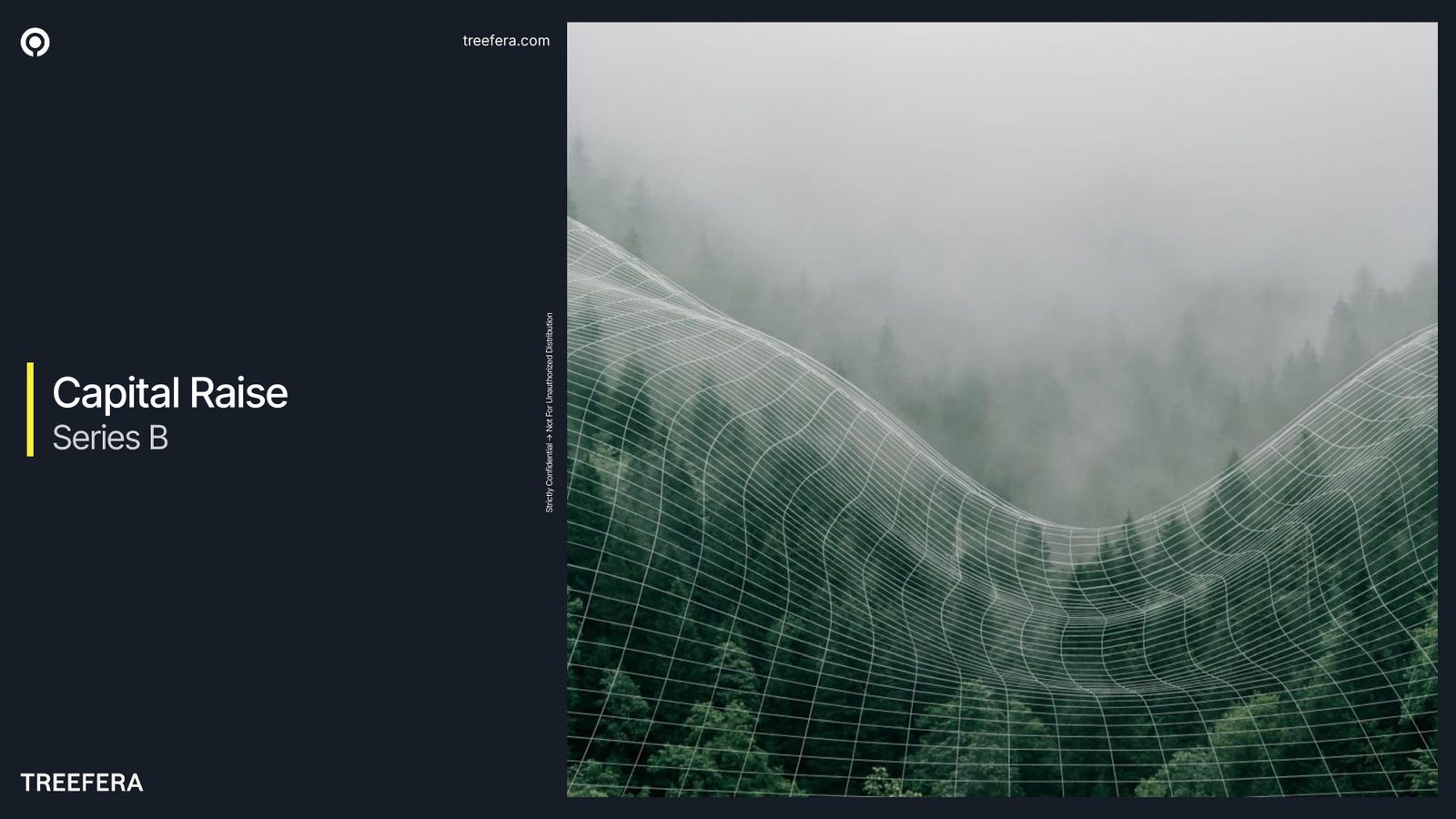 Cover slide of the Treefera pitch deck — Series B 2024