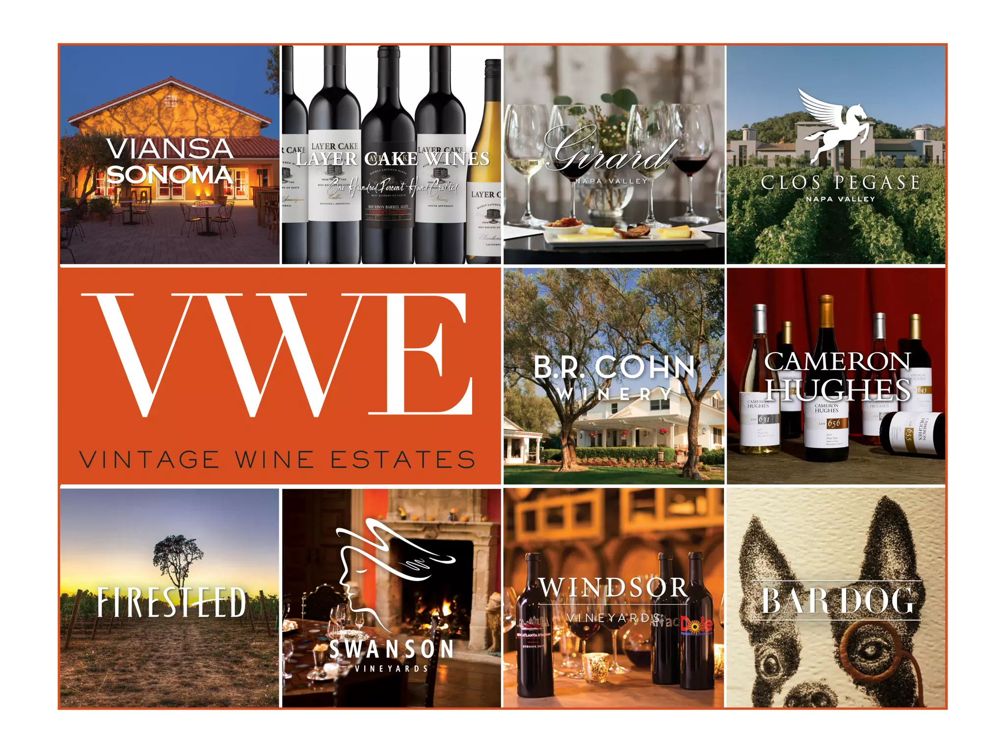 Cover slide of the Vintage Wine Estates Pitch Deck Teardown pitch deck